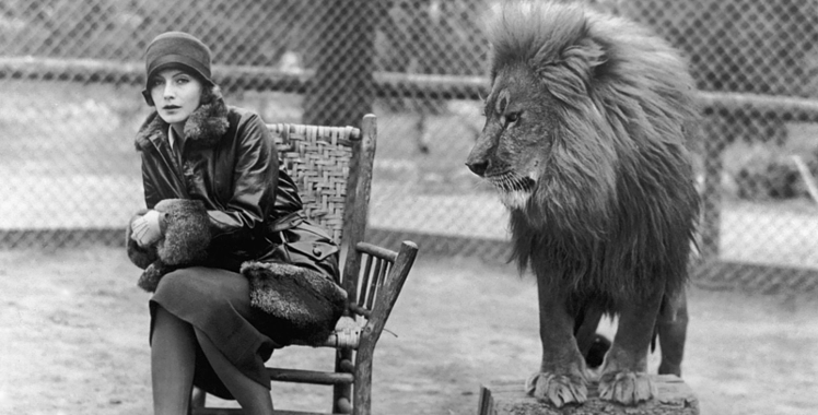 The Roaring Lion May Be Closer Than You Think