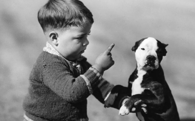 We All Know Better Than To Kick The Dog