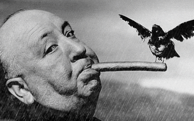 What A Little Bird Told Me About The Rain
