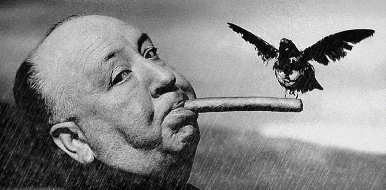 What A Little Bird Told Me About The Rain