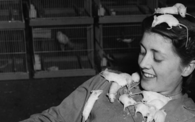 The Moral Collapse Of Mice And Men