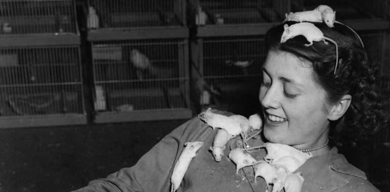 The Moral Collapse Of Mice And Men